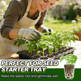 Healthy growth for herbs, vegetables, and flowers with Bigmeta sponges.