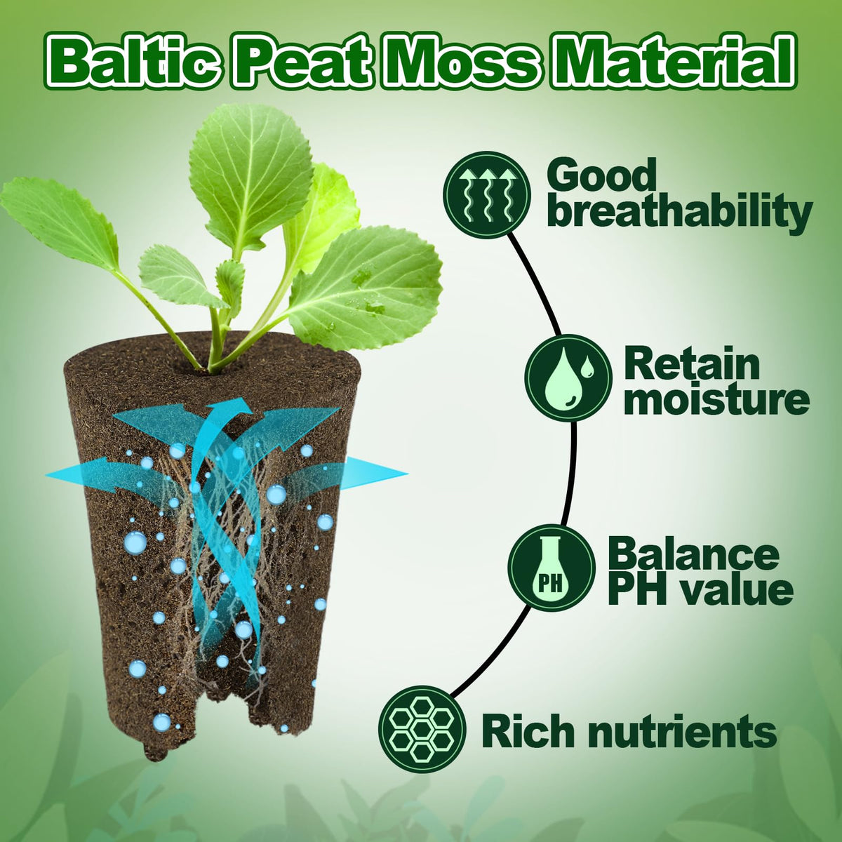 Seedling tray setup using Bigmeta root plugs for propagation.