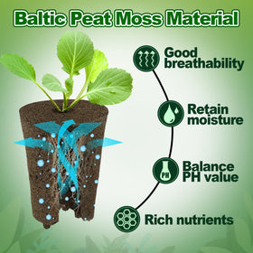 Seedling tray setup using Bigmeta root plugs for propagation.