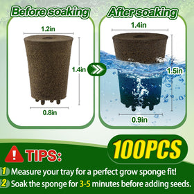 Soak Bigmeta sponges for 3–5 minutes before planting.
