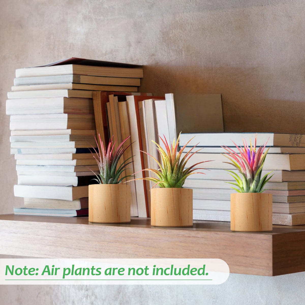 Bigmeta rustic column-style air plant holder decorative and compact