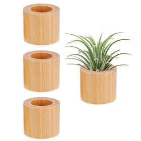 Bigmeta wood air plant holder set of three shows rustic display options
