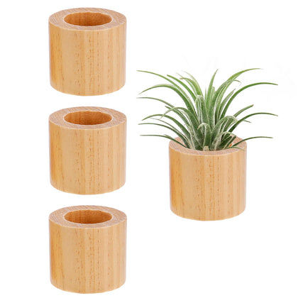Bigmeta wood air plant holder set of three shows rustic display options