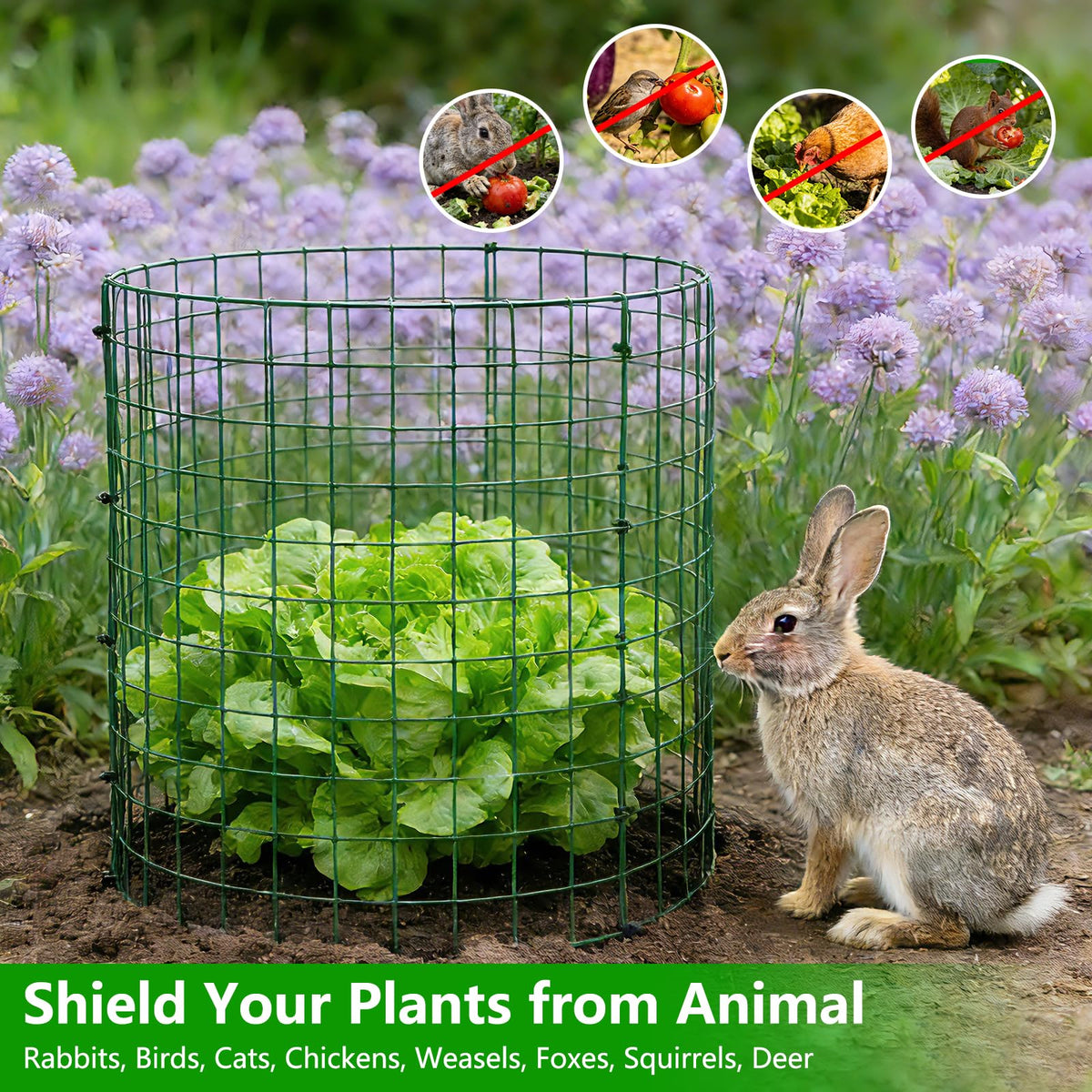 Bigwish 12x16 in metal plant cage shields tomatoes and flowers with sturdy steel construction.