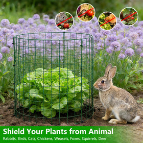 Bigwish 12x16 in metal plant cage shields tomatoes and flowers with sturdy steel construction.