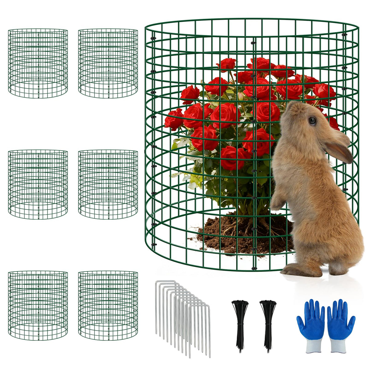 Bigwish plant cages assembled around a thriving plant for animal protection.