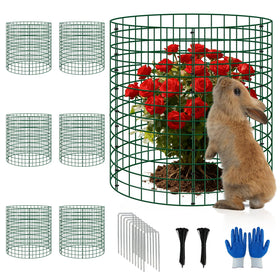 Bigwish plant cages assembled around a thriving plant for animal protection.