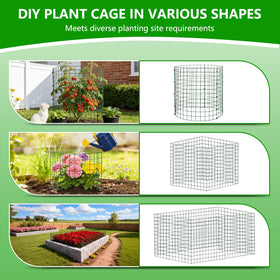 Protectors keep rabbits and squirrels away from young vegetables with Bigwish.