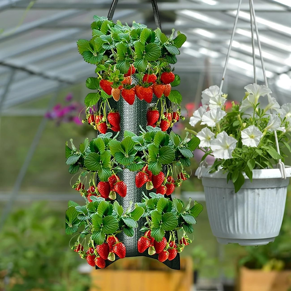 BIJOKETTEN balcony vertical display housing strawberries and herbs