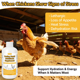 BiKontrun liquid poultry supplement dropper enables direct dosing.