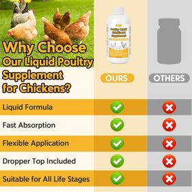 BiKontrun bottle supports growth and laying readiness in hens.