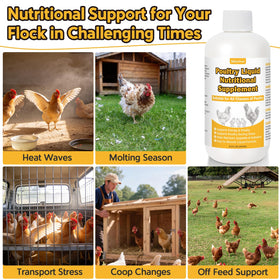 BiKontrun bottle supports poultry during transport and relocation.