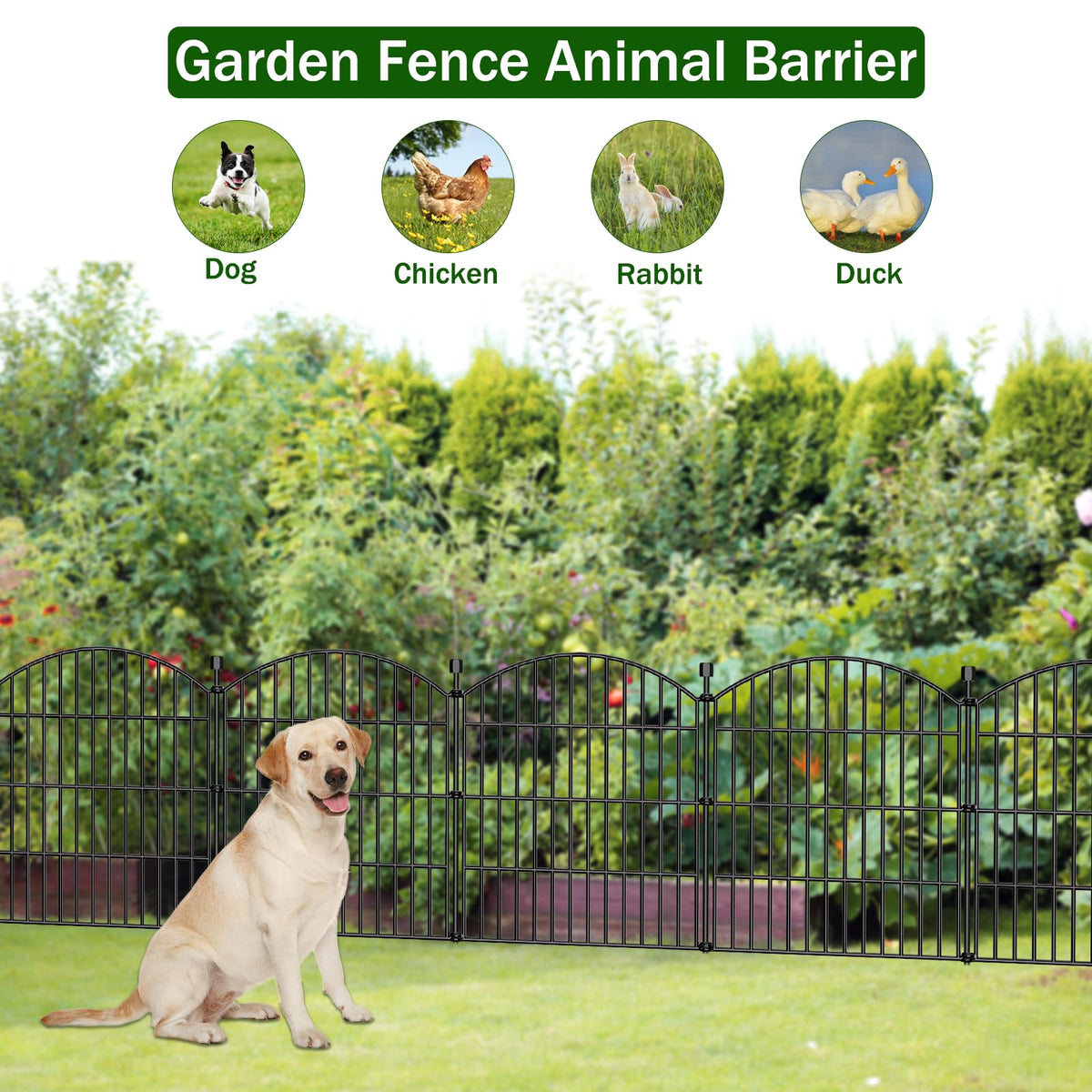 Bilibompa Easy installation no-dig fence quickly shields vegetables.