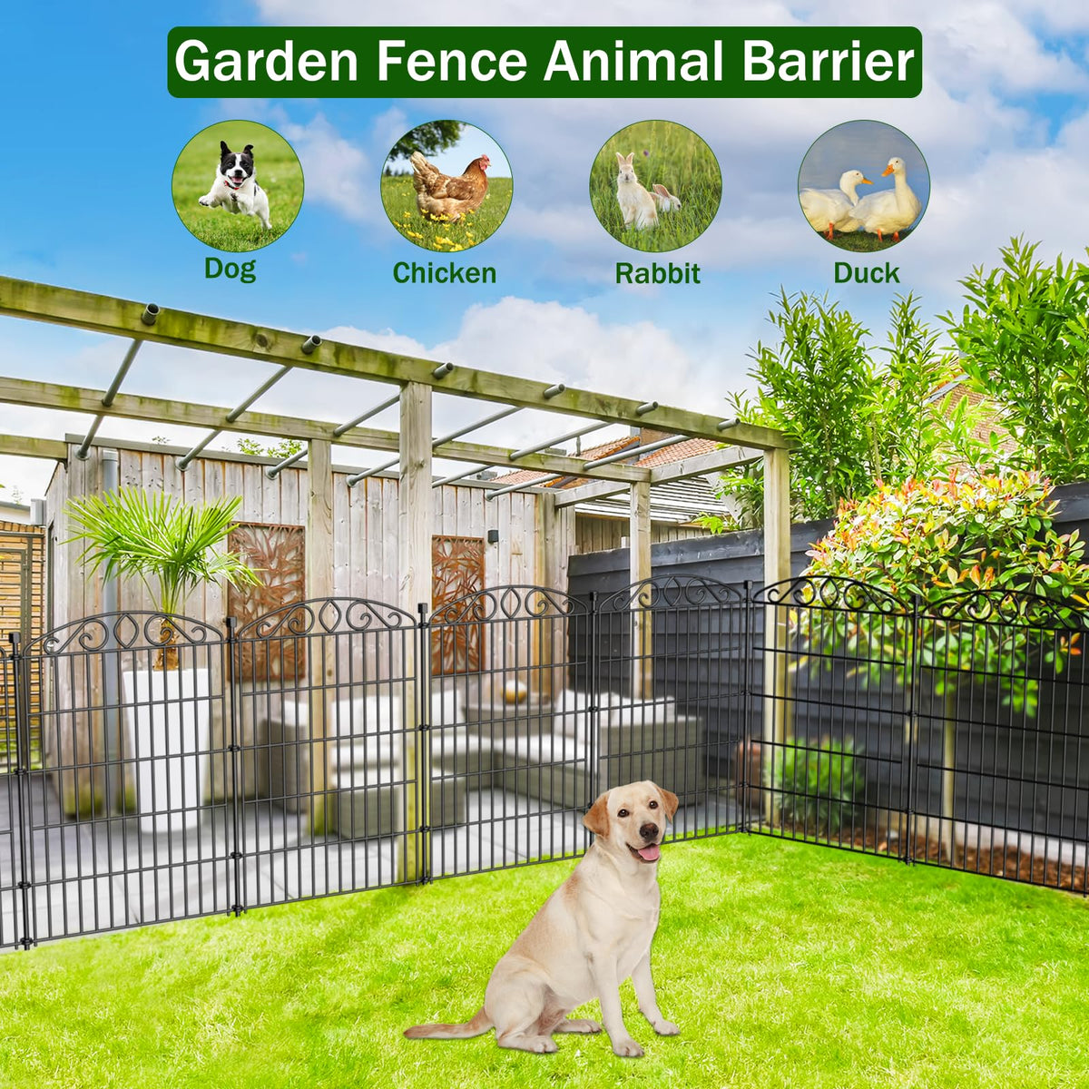 Bilibompa tall arch border design enhancing yard edges with elegance