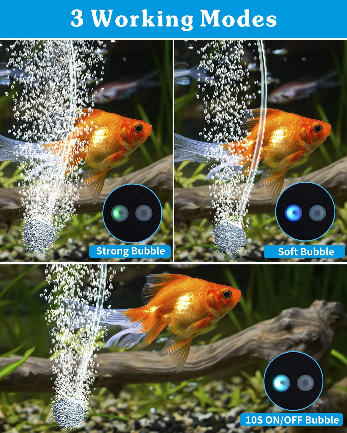 Biling air hose and stones ensure even bubble distribution in the pond.