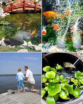 Biling 1-year warranty and responsive service accompany the product.