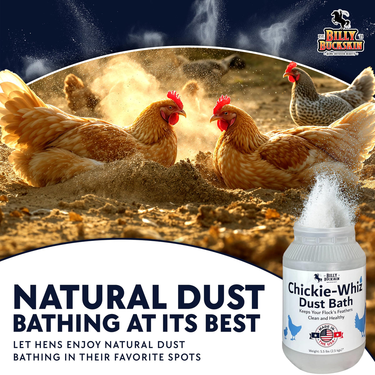 Billy Buckskin Chickie Whiz dust bath demo for home coops and runs.