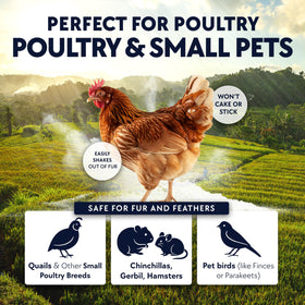 Billy Buckskin Chickie Whiz pest-control close-up highlights natural mite prevention.