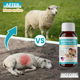 Bingbrofam dewormer liquid is clear for quick dosing