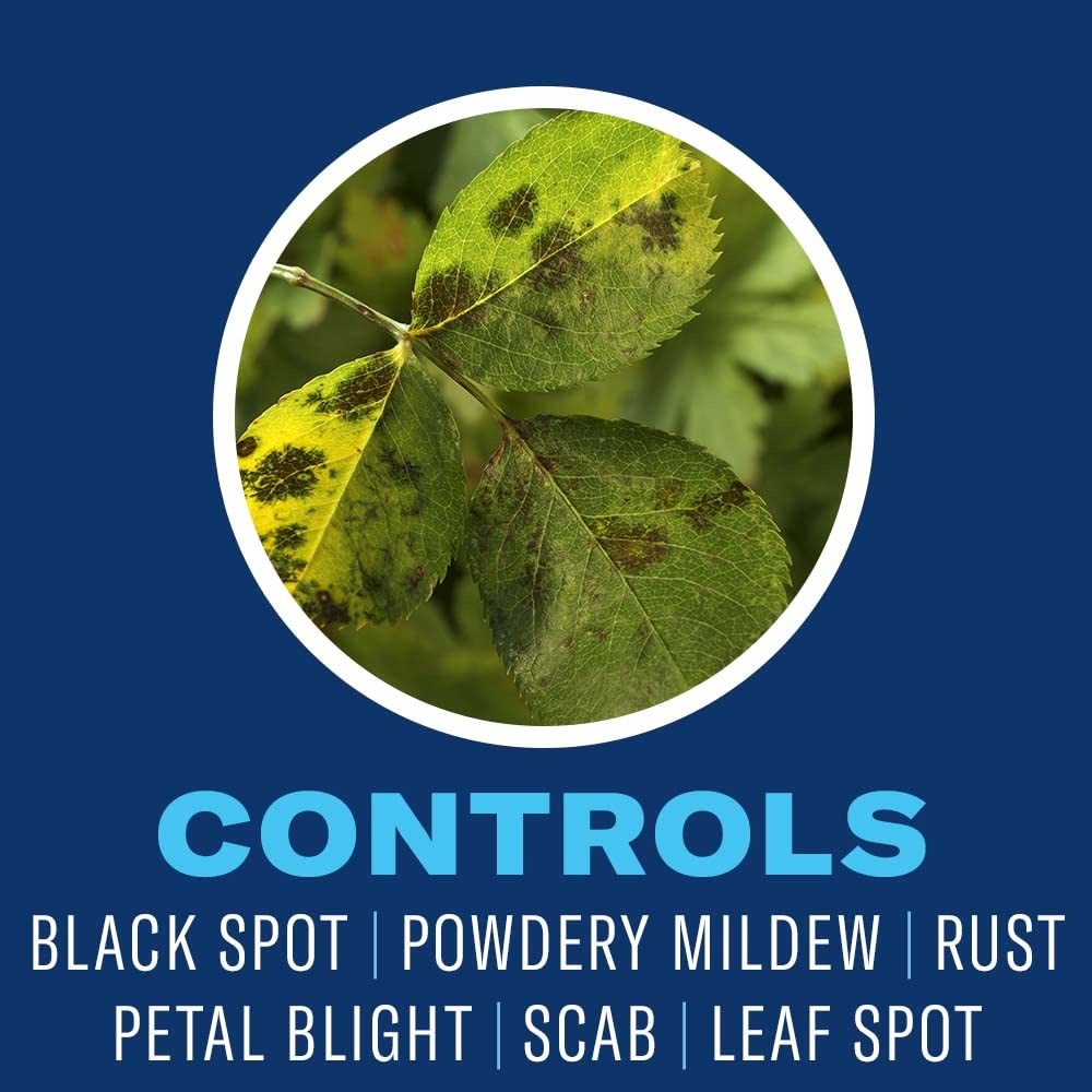 32-ounce container showing ready-to-use plant fungicide and insecticide.