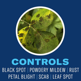 32-ounce container showing ready-to-use plant fungicide and insecticide.