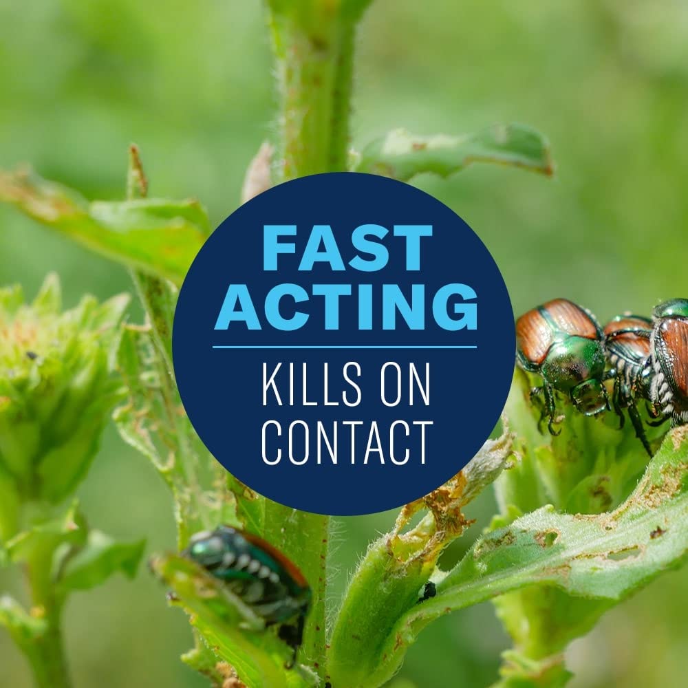 BioAdvanced aphids-control closeup shows targeted action against common garden pests.