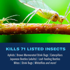 BioAdvanced Complete Insect Killer being sprayed to control outdoor pests.