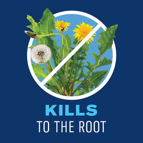 BioAdvanced formula demonstrating control of over 200 weeds like dandelion and clover.