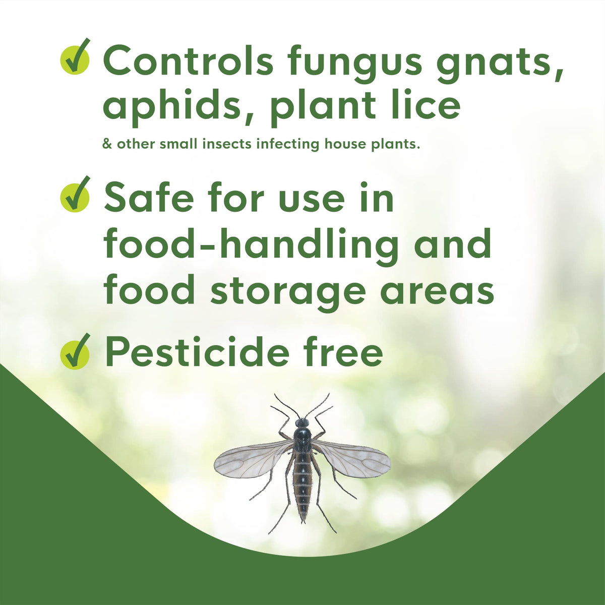 BioCare Gnat Stix includes pre-cut holes to hang from houseplants.