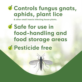 BioCare Gnat Stix includes pre-cut holes to hang from houseplants.