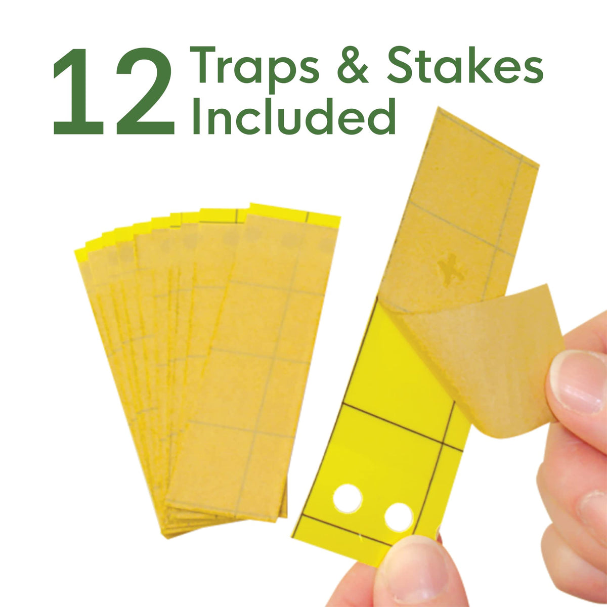 BioCare Gnat Stix helps protect infested plants and surrounding greenery.