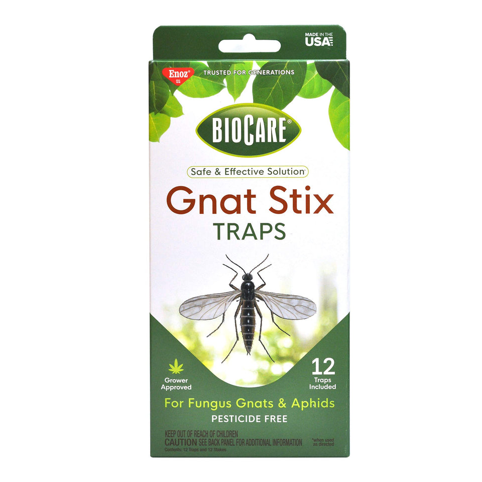 BioCare Gnat Stix stake trap protects indoor plants from gnats.
