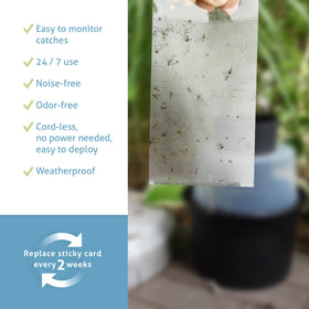 Biogents sticky cards pack showing monitoring tools for mosquito activity
