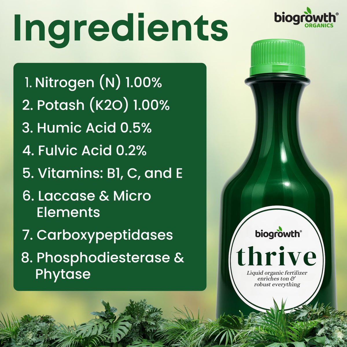 BIOGROWTH ORGANICS indoor-pot setup demonstrates steady indoor cultivation support