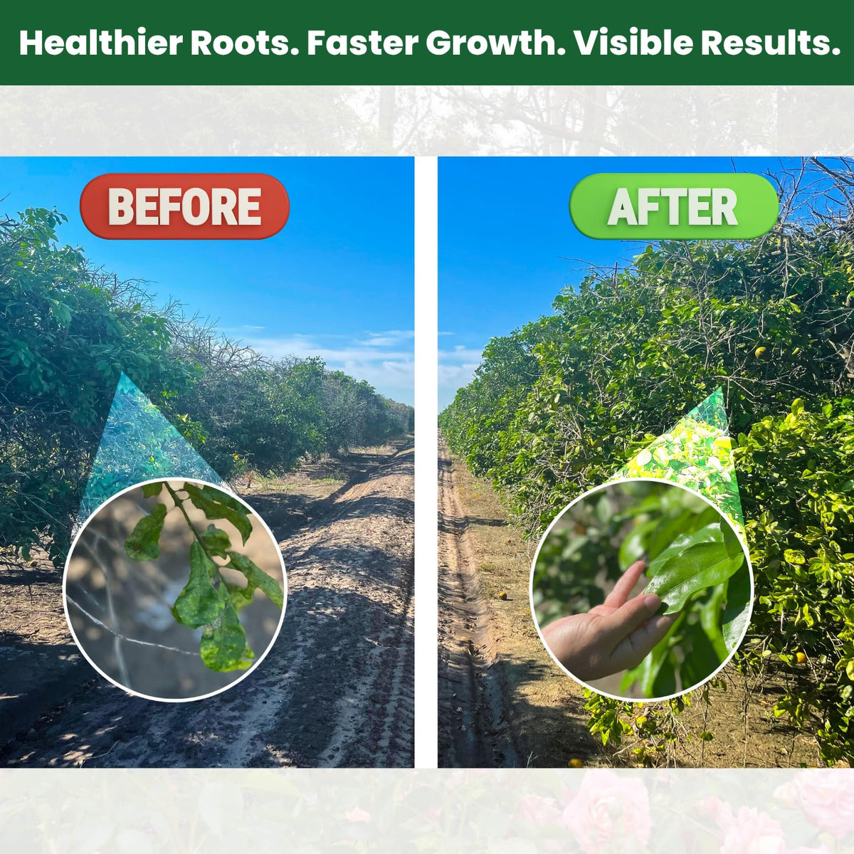 BIOGROWTH ORGANICS nutrient-rich-formula label communicates humic and fulvic content