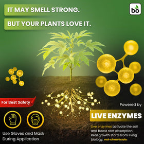 BIOGROWTH ORGANICS root-system image shows stronger roots for better stability