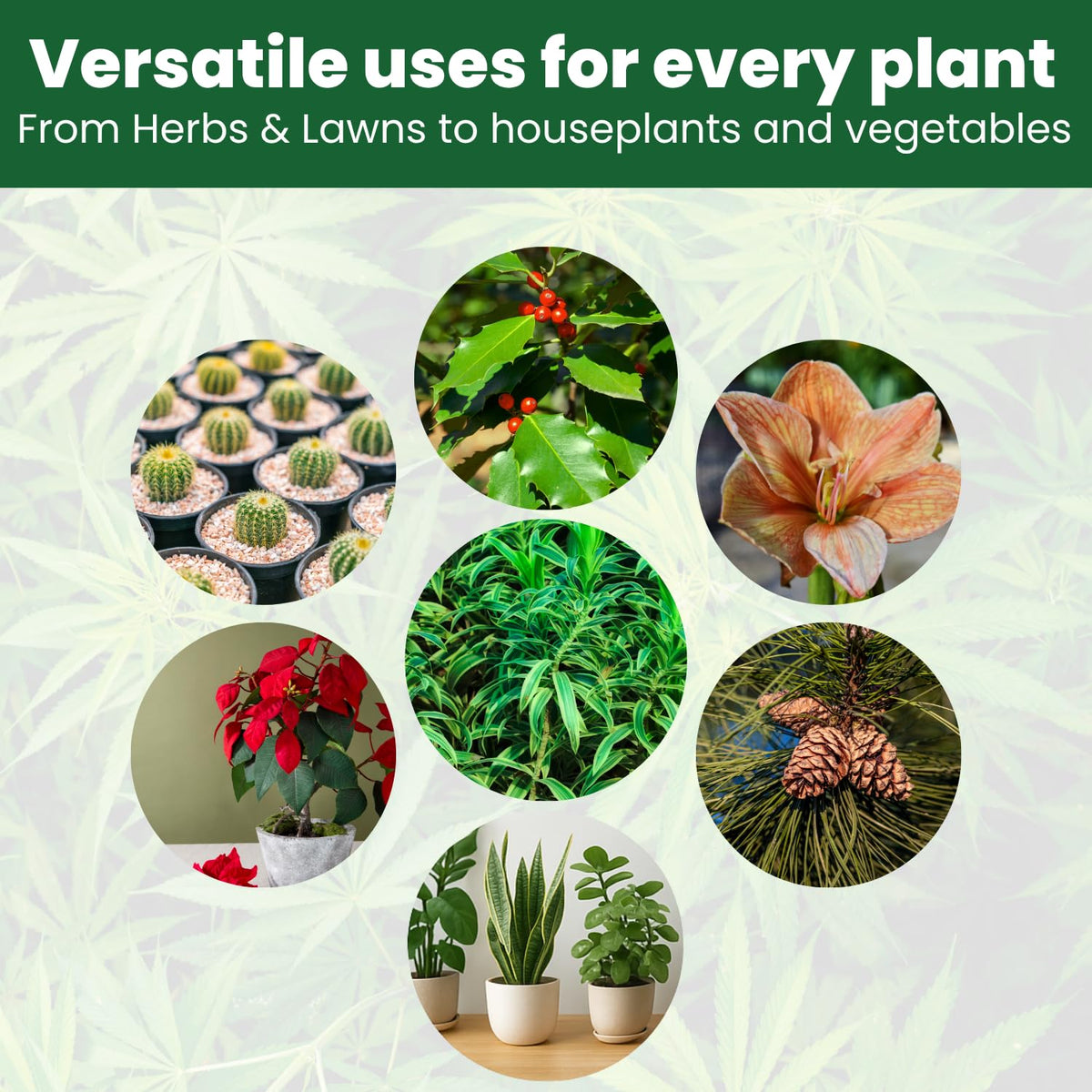BIOGROWTH ORGANICS sustainable-packaging highlights eco-friendly farming