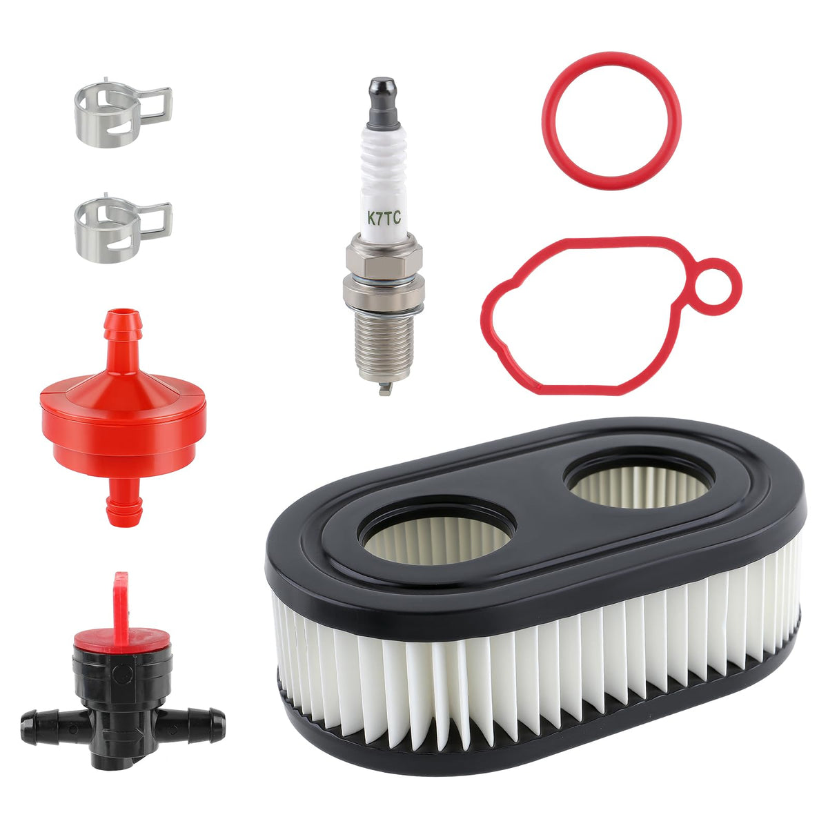 BioLion 799584 spark plug and air filter pairing for smooth starts.