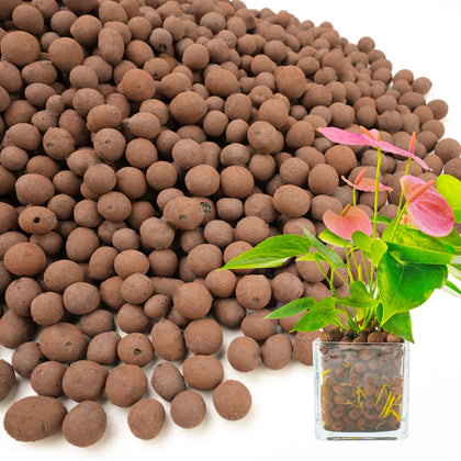 BIOMAND LECA clay pebbles 10-20mm for drainage and root health.