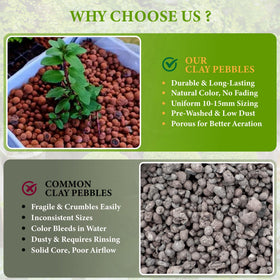 BIOMAND LECA for orchid and hydroponic setups with stable root environment.