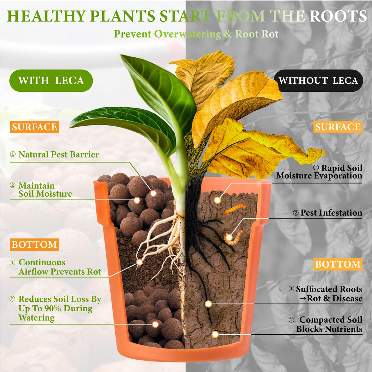 BIOMAND LECA versatile growing medium for orchids and hydroponics.