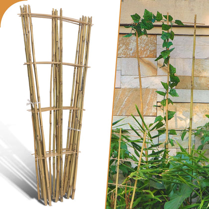 Biotolot 10-pack 4ft bamboo trellis in fan shape supports climbing plants.