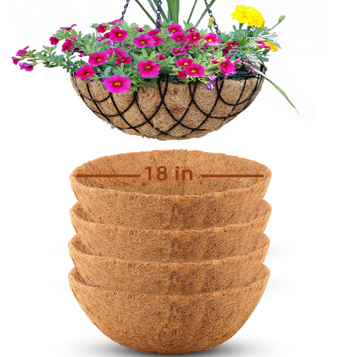 Biotolot 18-inch coconut liner installed in a hanging basket for plants.