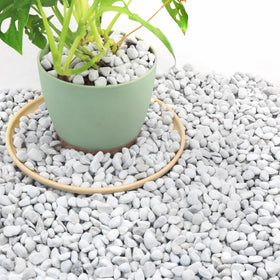 Biotolot 18 Qt perlite 1/4 inch particle size boosts drainage in potting mix