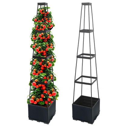 Biotolot 2-pack raised tomato planter with trellis for neat vertical patio gardening.