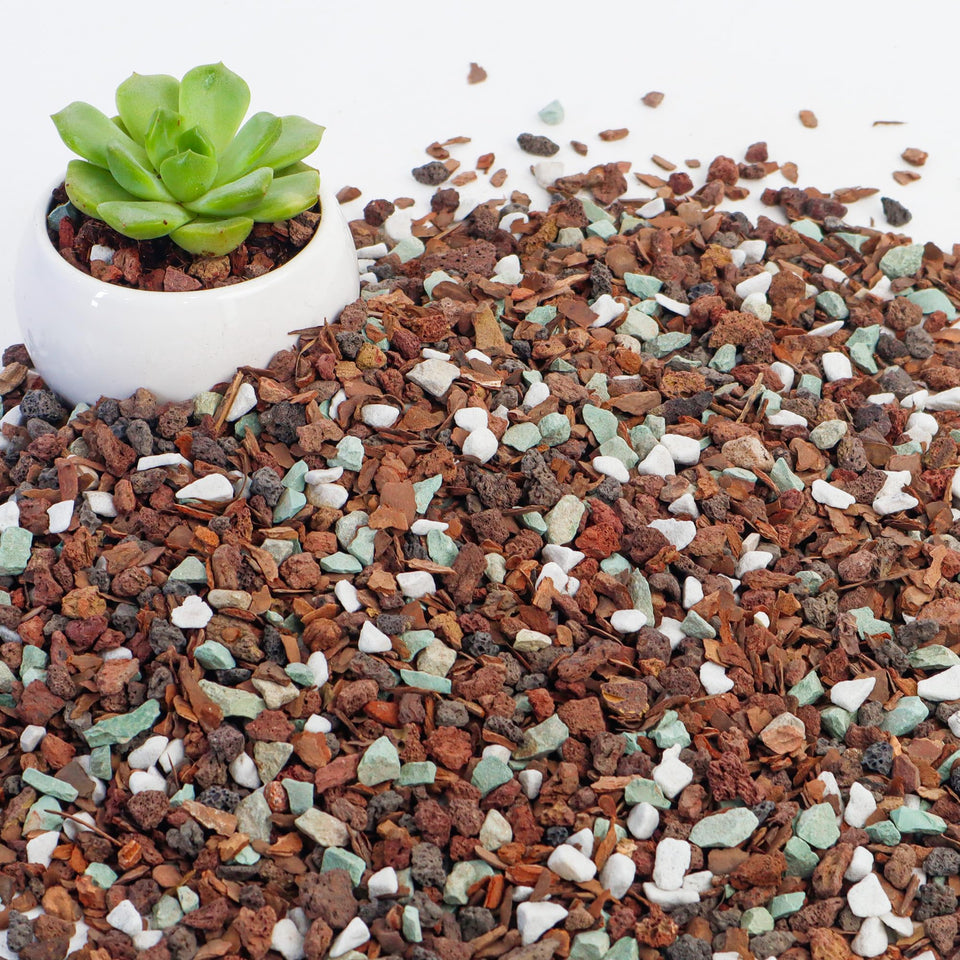 Biotolot bonsai soil mix with bark and lava for improved drainage and root health