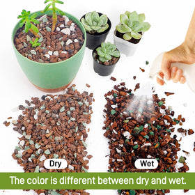 Biotolot bonsai soil mix designed for orchids with well-draining substrate