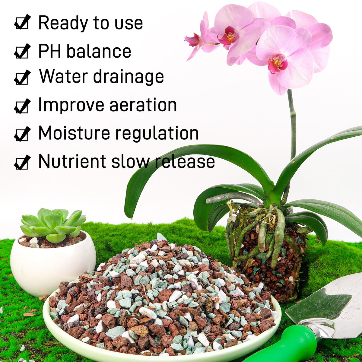 Biotolot bonsai soil mix ready to use for quick potting and steady roots