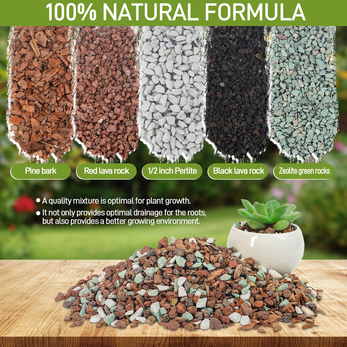 Biotolot bonsai soil mix featuring zeolite and perlite to balance moisture and airflow