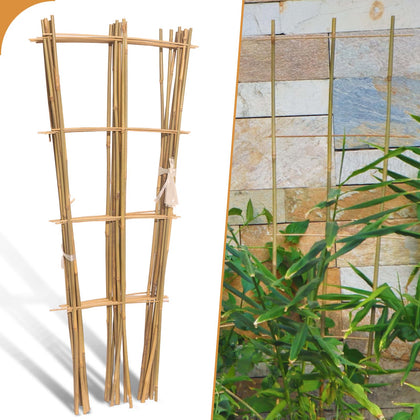 Biotolot bamboo trellis in a 3ft fan shape supports climbing plants in pots.